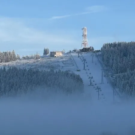 Eichhoernchenblick *
