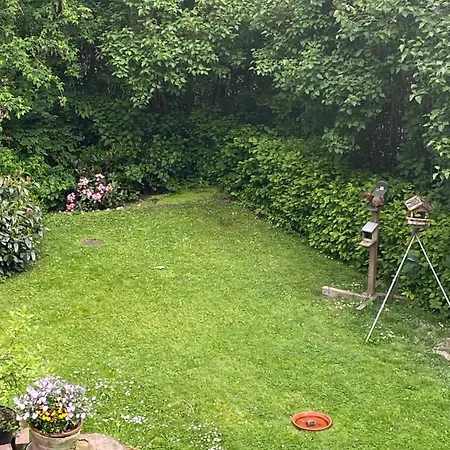 Eichhoernchenblick * Goslar