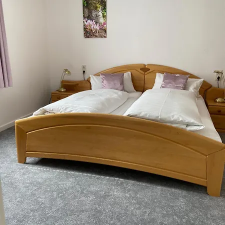 Eichhoernchenblick Goslar