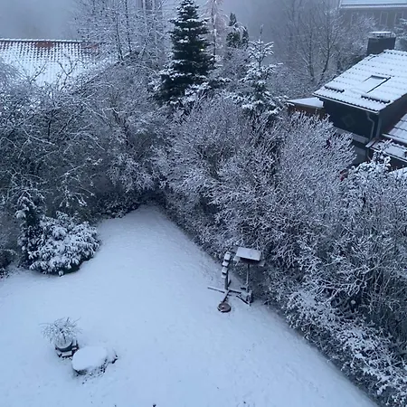 Eichhoernchenblick