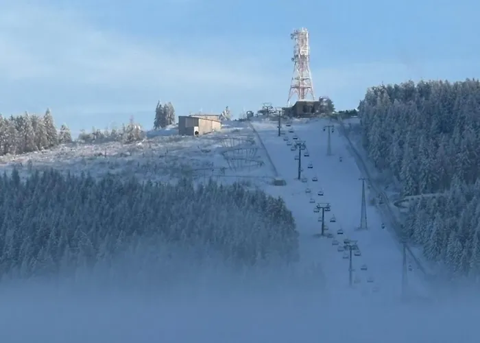 Eichhoernchenblick *