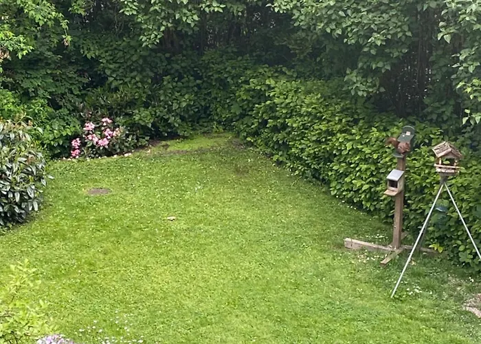 Eichhoernchenblick * Goslar