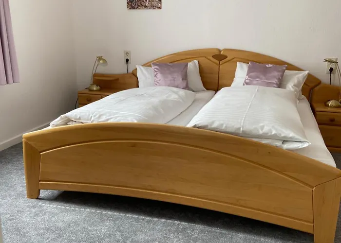 Eichhoernchenblick Goslar